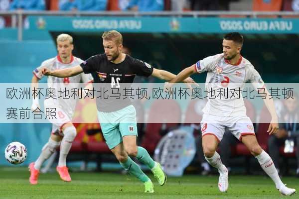 欧洲杯奥地利对北马其顿,欧洲杯奥地利对北马其顿赛前合照