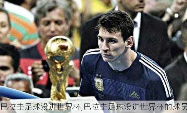 巴拉圭足球没进世界杯,巴拉圭足球没进世界杯的球员