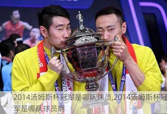 2014汤姆斯杯冠军是哪队球员,2014汤姆斯杯冠军是哪队球员啊