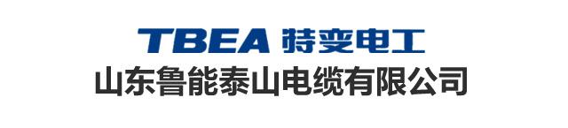 山东鲁能泰山有限公司,山东鲁能泰山电缆有限公司