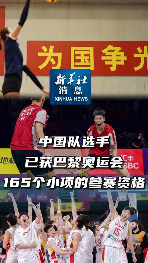 中国队参赛情况