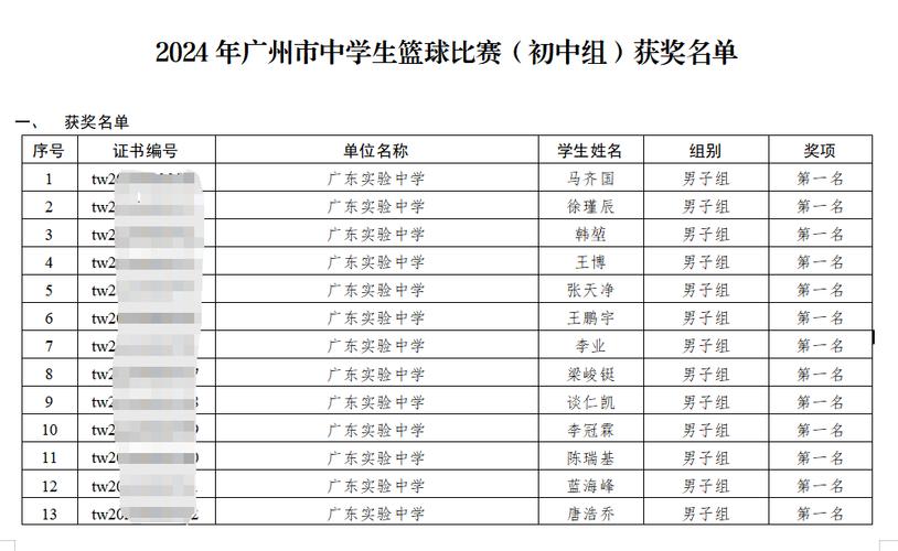 篮球赛获奖学校名单