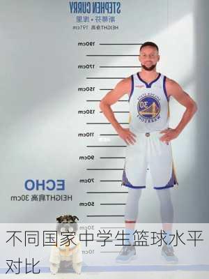 不同国家中学生篮球水平对比