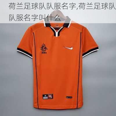 荷兰足球队队服名字,荷兰足球队队服名字叫什么