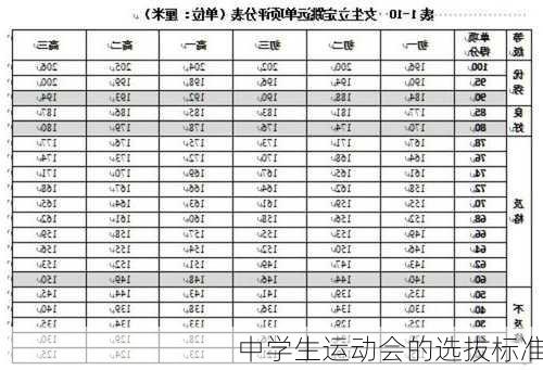 中学生运动会的选拔标准
