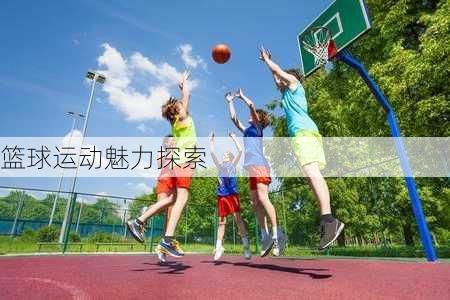 篮球运动魅力探索