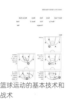 篮球运动的基本技术和战术