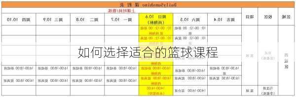 如何选择适合的篮球课程