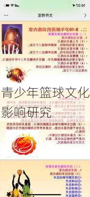 青少年篮球文化影响研究