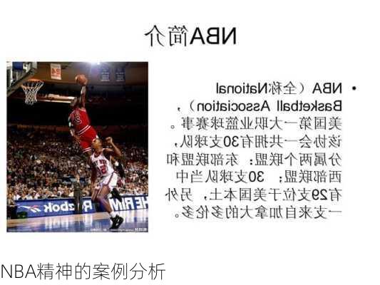 NBA精神的案例分析