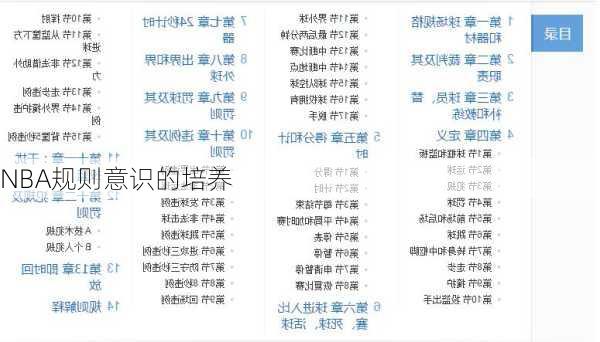 NBA规则意识的培养