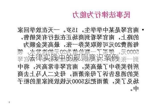 法律实践中的规则意识案例
