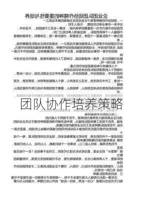 团队协作培养策略
