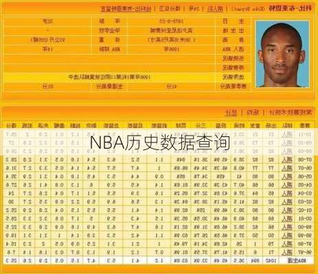 NBA历史数据查询