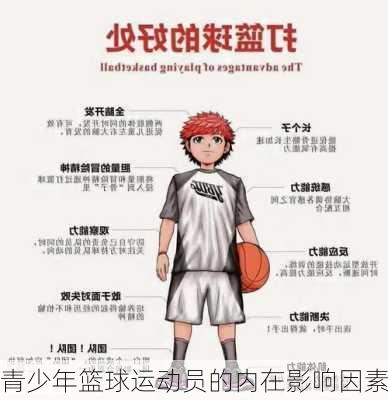 青少年篮球运动员的内在影响因素