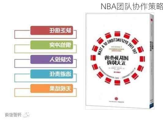 NBA团队协作策略