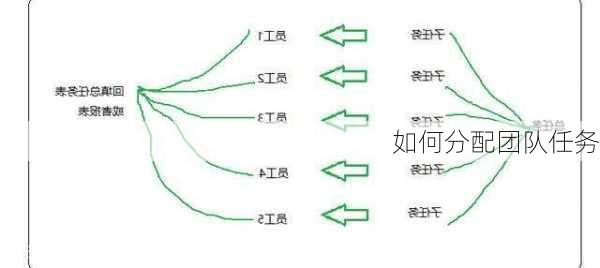 如何分配团队任务