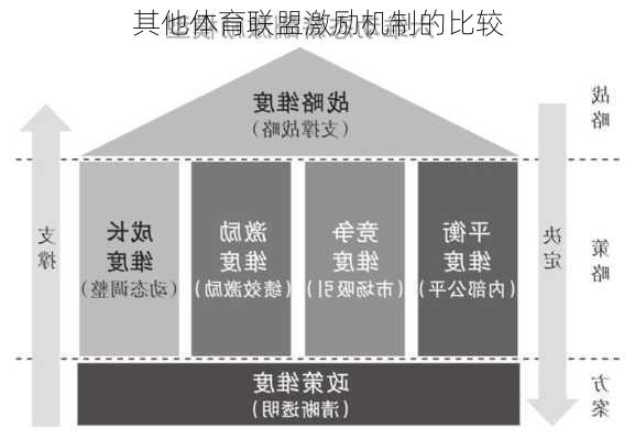 其他体育联盟激励机制的比较
