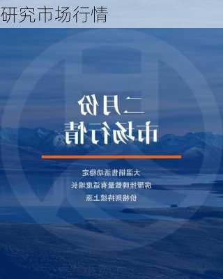 研究市场行情