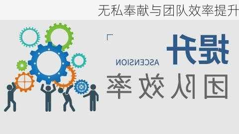 无私奉献与团队效率提升