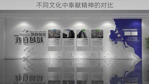 不同文化中奉献精神的对比