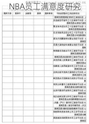 NBA员工满意度研究