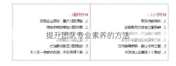 提升团队专业素养的方法
