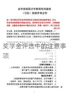 奖学金评选中的注意事项