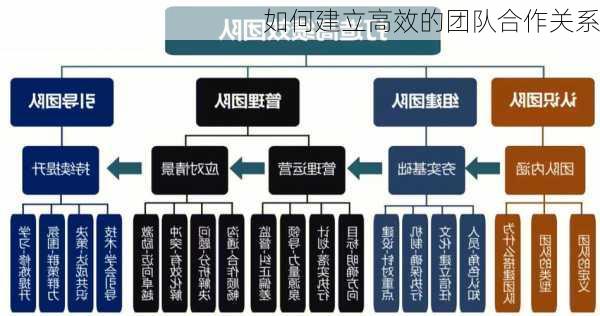 如何建立高效的团队合作关系