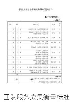 团队服务成果衡量标准