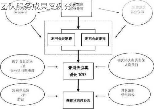 团队服务成果案例分析