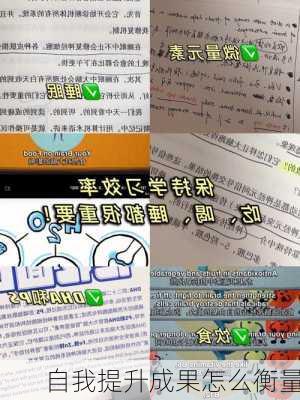 自我提升成果怎么衡量