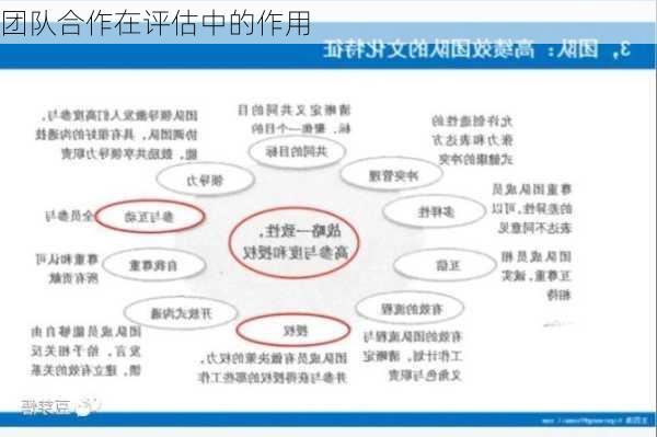 团队合作在评估中的作用