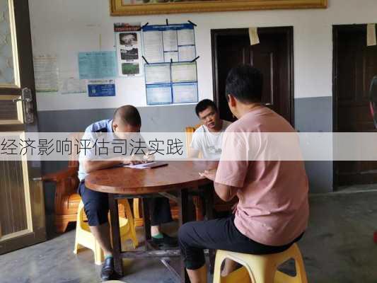 经济影响评估司法实践