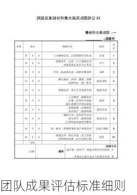 团队成果评估标准细则