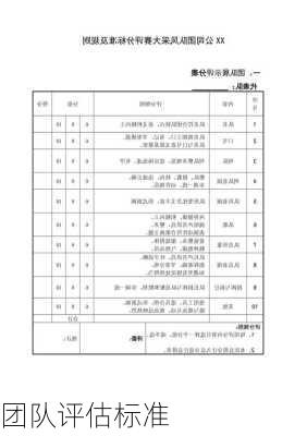 团队评估标准