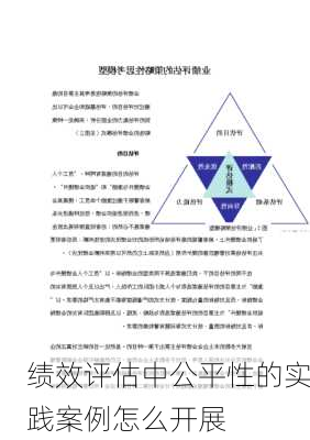 绩效评估中公平性的实践案例怎么开展