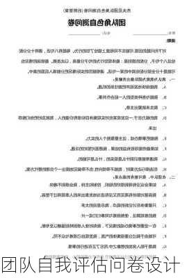团队自我评估问卷设计