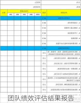 团队绩效评估结果报告