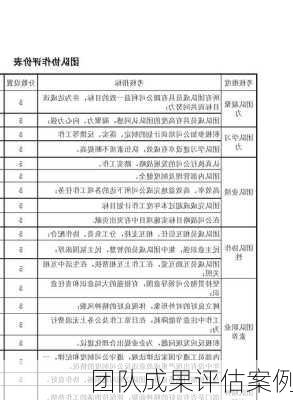 团队成果评估案例