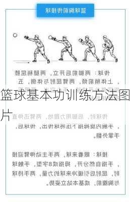 篮球基本功训练方法图片