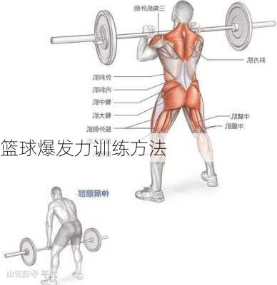 篮球爆发力训练方法