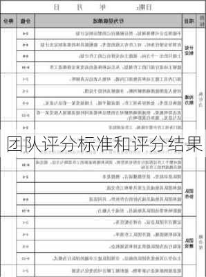 团队评分标准和评分结果