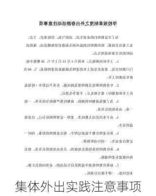 集体外出实践注意事项