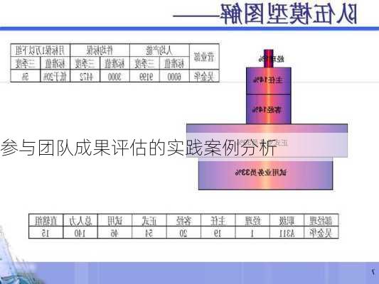 参与团队成果评估的实践案例分析