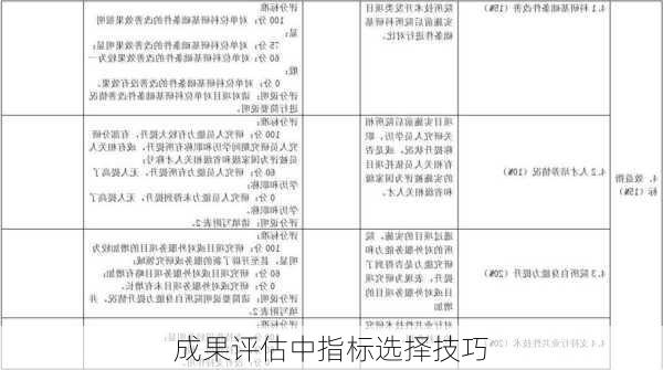 成果评估中指标选择技巧