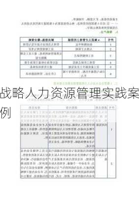 战略人力资源管理实践案例