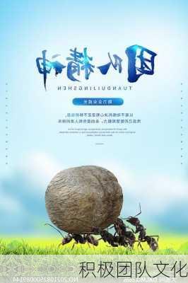 积极团队文化