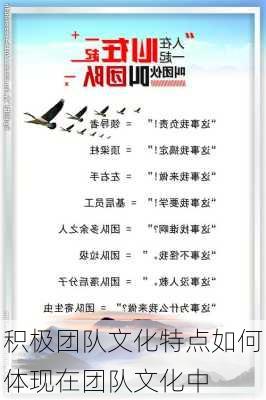 积极团队文化特点如何体现在团队文化中