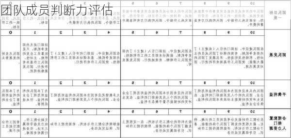 团队成员判断力评估